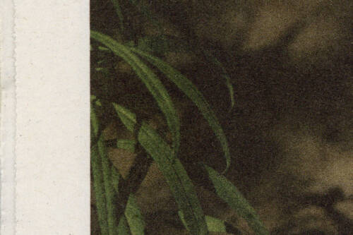 Ollie Schaich Studio Soiree Graphique 05